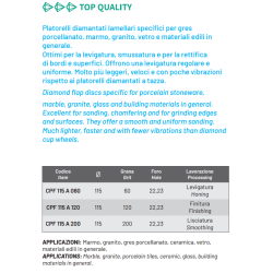 PLATORELLO DIAMANTATO Flap Disc Cuts Diamant 1983 S.r.l. TekSytemShop
