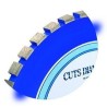 Mola Diamantata CM890 Cuts Diamant 1983 S.r.l. TekSytemShop